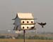 plastic_house