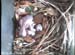 nest0525a