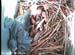 nest0530g