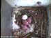 nest2_0621a