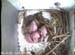 nest2_0622a