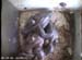 nest2_0628a