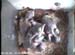 nest2_0629a