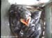 nest2_0706a
