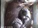 nest2_0706b